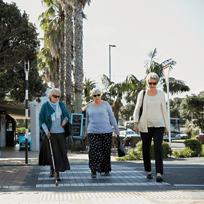 Women using TGSI to cross the road
