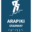 haptix-braille-sign-maori-arapiki-stairway-portrait